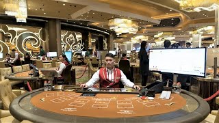 Macau Casino Stocks Plunge Amid Government Scrutiny