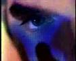 DELFINS Num Sonho Teu