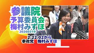 2:22:02から参政党【梅村みずほ】🍊参議院予算委員会🍊20260318　#参政党 #梅村みずほ