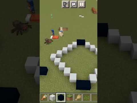 Insane Minecraft Build Hack!