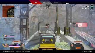 ［APEX] お久しぶりです