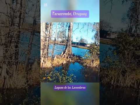 Linda tarde para una caminata - Tacuarembó 04/08/2025