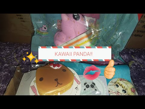 Amazing Kawaii Panda Package!!😍😍 more pancakes!!🥞🥞🥞🍽 Video