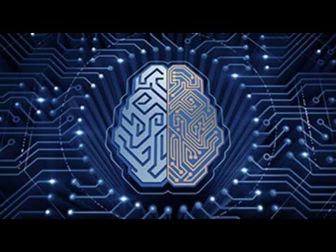 AI models can help unravel mystery of human brain: Study