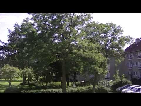 MongoTV_553 - Del 15 - Cykeltur Igennem Lyngby, Jægersborg og Gentofte Den 16.Aug 2015