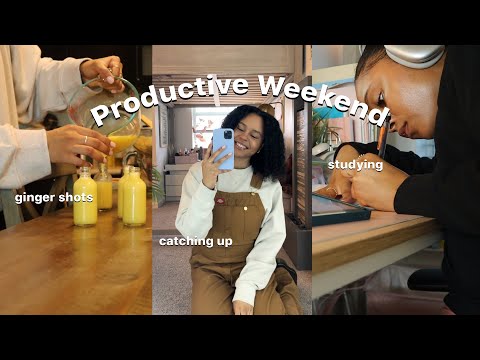 getting my life together & RESET VLOG 🌱 lots of deep cleaning, productivity, + language learning