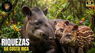 O Segredo da Costa Rica | Como um País Salvou a Vida Mais Rica do Planeta - Documentário