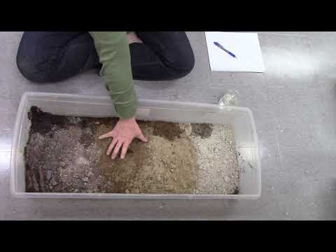 Describing Soil Profiles: Horizon Boundaries