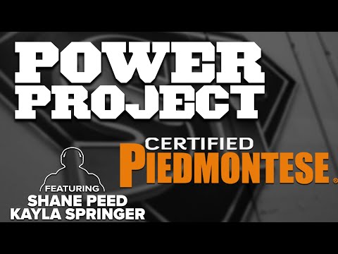 Mark Bell's Power Project EP. 296 - Piedmontese Owner Shane Peed and Kayla Springer
