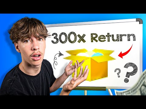 The Best Investment I've Ever Made (300x Returns)