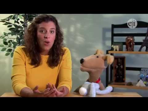 The Fred and Susie Show: Episode 5