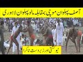 Asif Pehlwan Mochi Vs Malo Pehlwan Lahori New Kushti National Kushti Tv New Kushti 2021