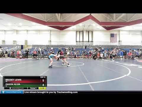 74 Lbs Quarterfinal - Brodey Lewis, WI Vs Mason Aluia, MI 103f