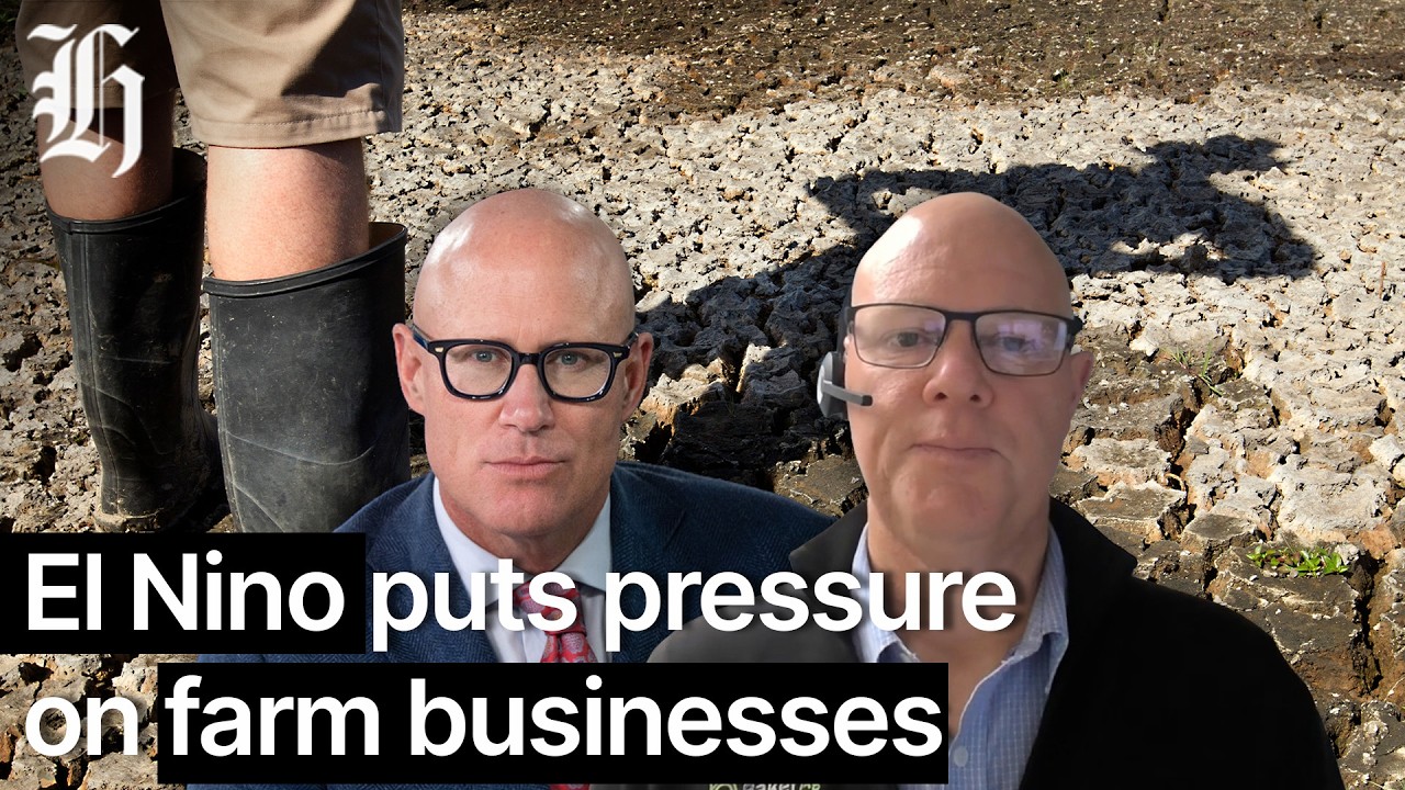 El Nino puts pressure on farm businesses | Herald NOW Business