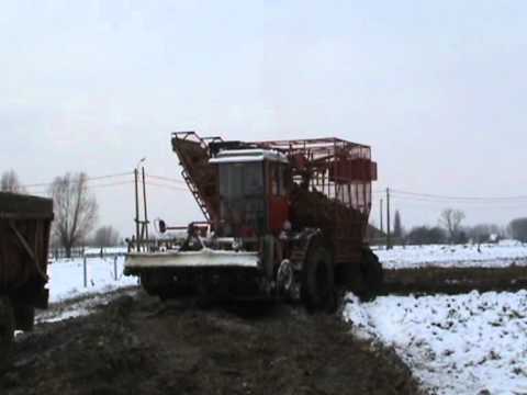 Landbouwer Vergauwe - Lendelede