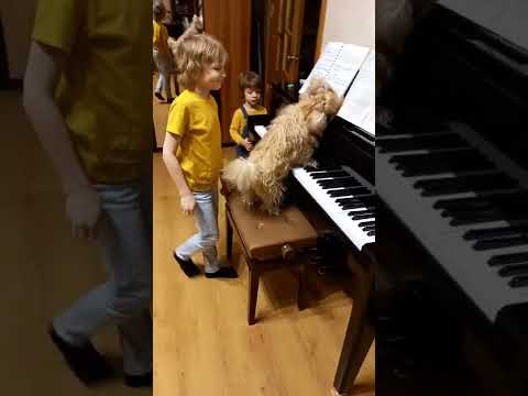 Visiting Elisey Mysin and his dog Wolfgang