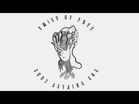 The Triplet Code - Twist Of Fate (Official Audio)