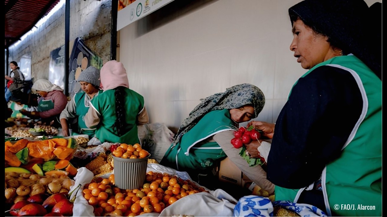 Agency in food systems transformation: Who has the power to shape food systems?