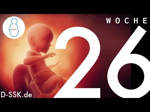 Schmerzen im Sprunggelenk Behandlung Ein quälenden Schmerzen im Unterleib und bei Frauen bei einer Verzögerung der Menstruation unteren R