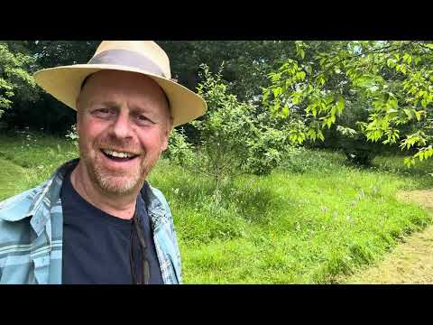 Roses and Connecting the Woodland to the Meadow. Joe's Country Garden June 2024