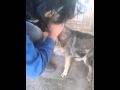 Mujer acaricia un perro por primera vez luego de ser maltratado durante años. Conmovedora reacción
