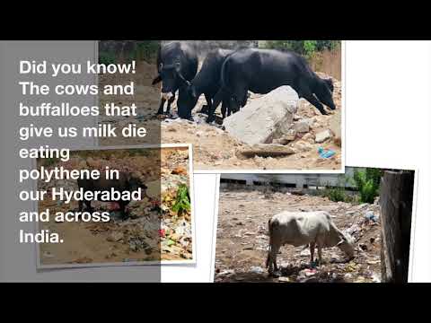Save Animal Kind | Join Shubhra Hyderabad Movement