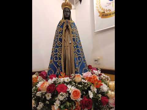 Lindo andor da procissão de Nossa Senhora Aparecida em Pedrinhas Paulista.