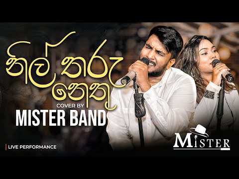 නිල් තරු නෙතු | Cover by MISTER Band |Originally done by Rookantha Gunathilake & Chandralekha Perera