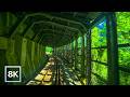 Green Summer Ride In Nagano 8K 60fps HDR Calm Piano Natural Ambience