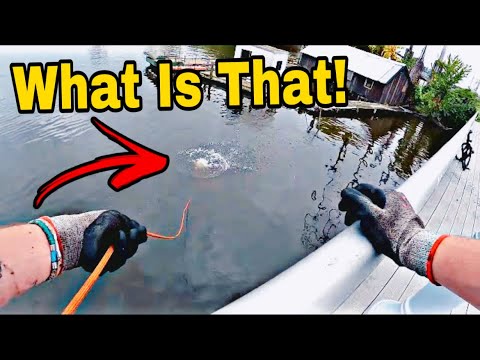 Magnet Fishing GONE CRAZY - The Most Unbelievable Find EVER!!!