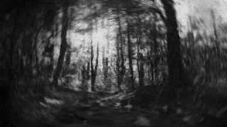 The Legendary Shack Shakers- Where's the Devil...