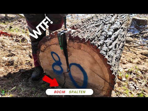 Starkholz spalten nur mit Bast-Ing Fällkeil und Spalthammer