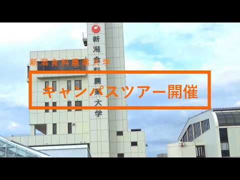 【オープンキャンパスダイジェスト】2017.09.23キャンパスツアー初開催！