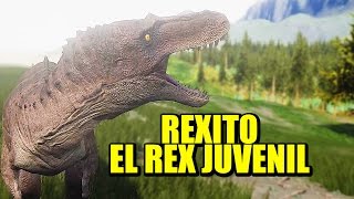 THE ISLE - TIRANNOSAURUS REX juvenil, dura adolescencia | Gameplay Español