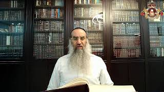 הדף היומי מסכת גיטין  דף  כד כ׳ בסיון תשפ״ג  מפי מו"ר הרב דן גבאי שליט"א