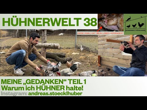 Hühnerwelt 38 Meine "Gedanken" Teil 1 - Warum ich Hühner halte!