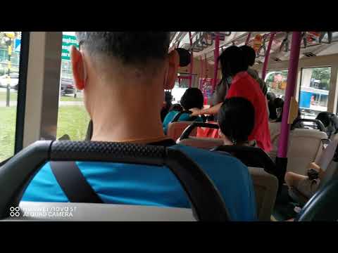 SBS TRANSIT Scania K230UB Euro V Gemilang SBS5238A On Service 80 W/ ZF Kickdowns