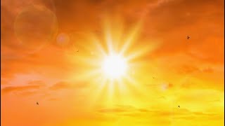 Vallajo Bridge Sunrise #5