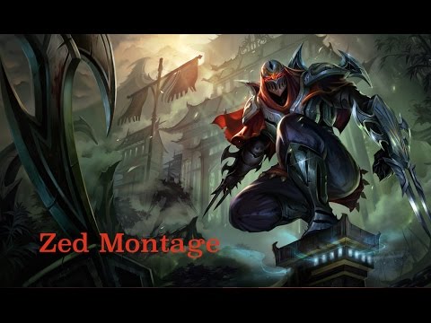 Zed Montage #2
