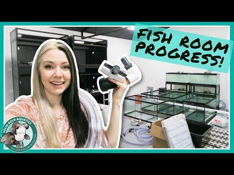 Building My Fish Room Water Change System! // VLOGMAS DAY 7