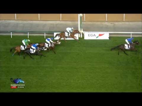 29.01.2015 Meydan (Dubai/UAE) 6.Race Al Rashidiya - Group II 1.800 m