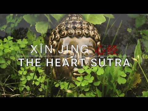 THE HEART SŪTRA | Official Music Video