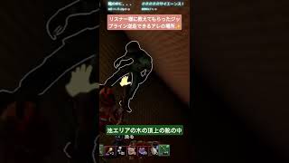 【Grounded 2】#24 待望の水中！大型アプデきました！！