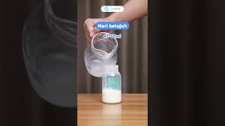Download lagu Berapa Banyak Newborn Minum Susu? mp3