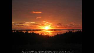 Ottmar Liebert - Heart Still Beating