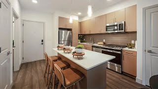 New Haven, CT Apartments – One-Bedroom Apartment