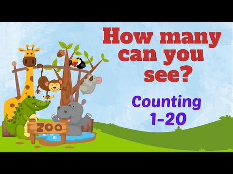 Number Quiz Game for Kids | Guess the Number | How many can you see? | Learn Numbers 1-20