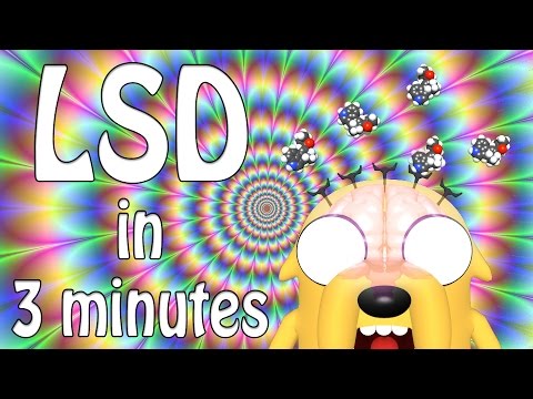 LSD in 3 Minutes
