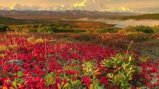 Kenny G - You&#39;re Beautiful