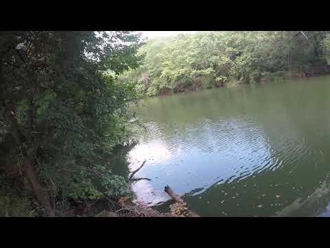 Ribolov na klen(ultra light chub fishing